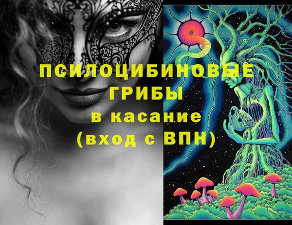 молекула духа Заволжск