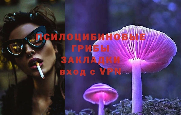 apvp Заволжье