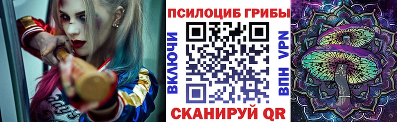 закладки  нарко площадка наркотические препараты  Псилоцибиновые грибы MAGIC MUSHROOMS  Невинномысск 